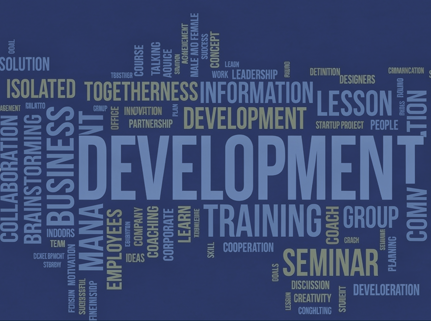 Performance Develpoment